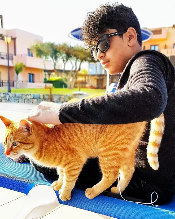 UK Export Documentation and Compliance Handling