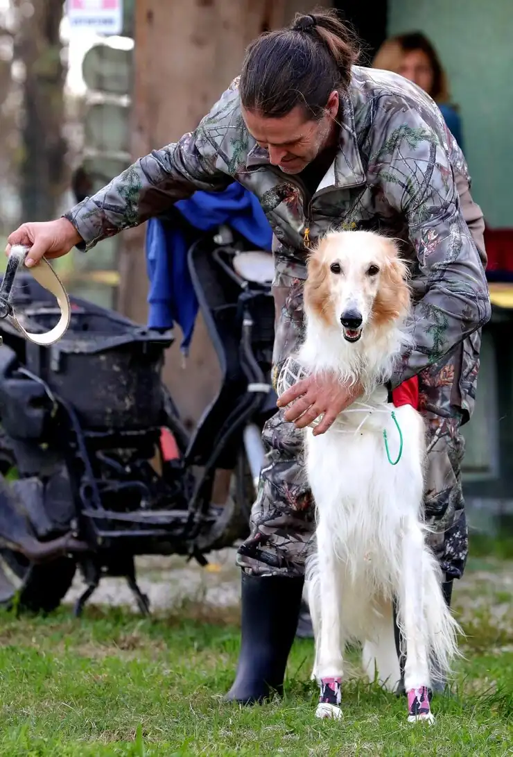 UK Military Base-to-Base Dog Transport