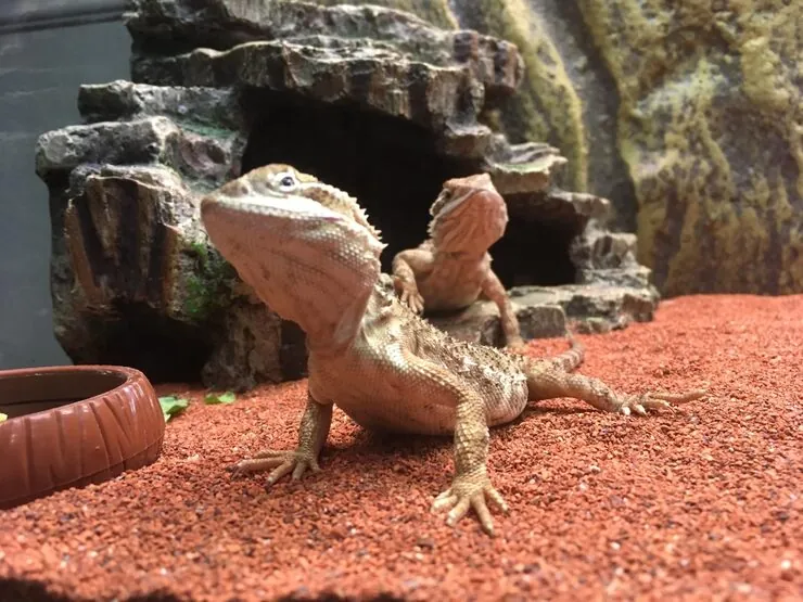 UK and European Documentation Handling