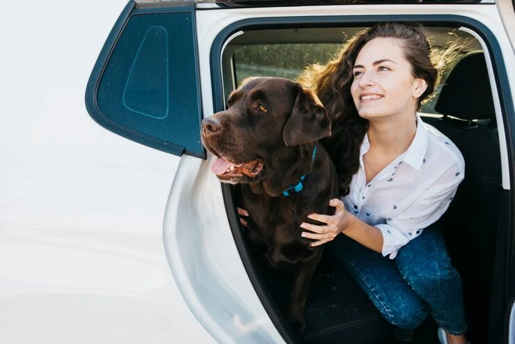 UK to Miami Pet Transport Services