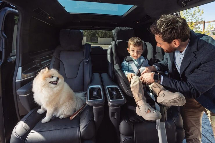 VIP Pet Relocation Services in London