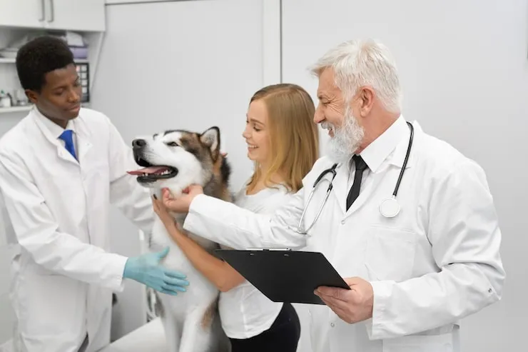 Veterinary Compliance Management