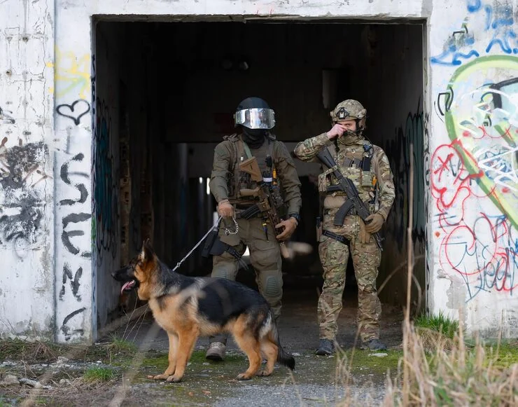 Veterinary Compliance and Documentation Review