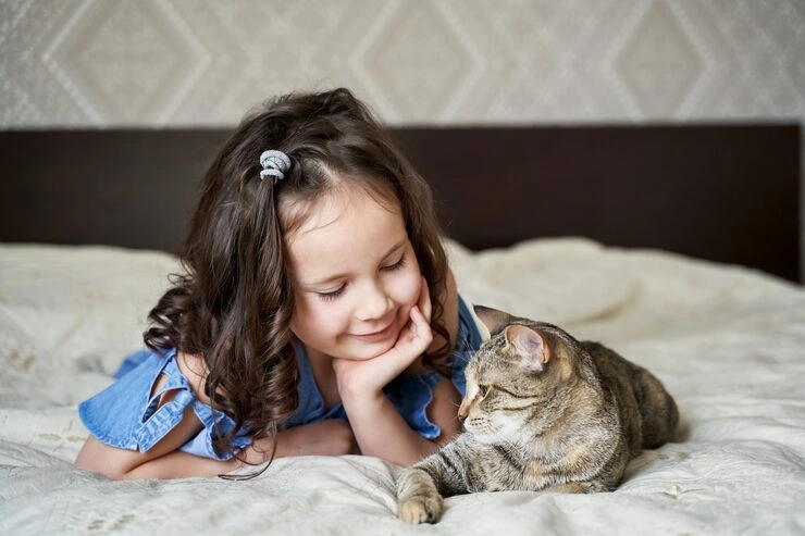 Veterinary Coordination and Certification