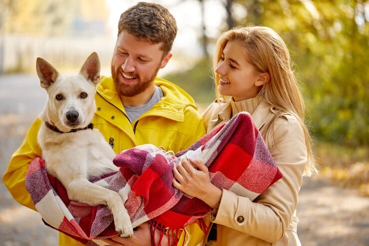 Veterinary Coordination and Health Documentation