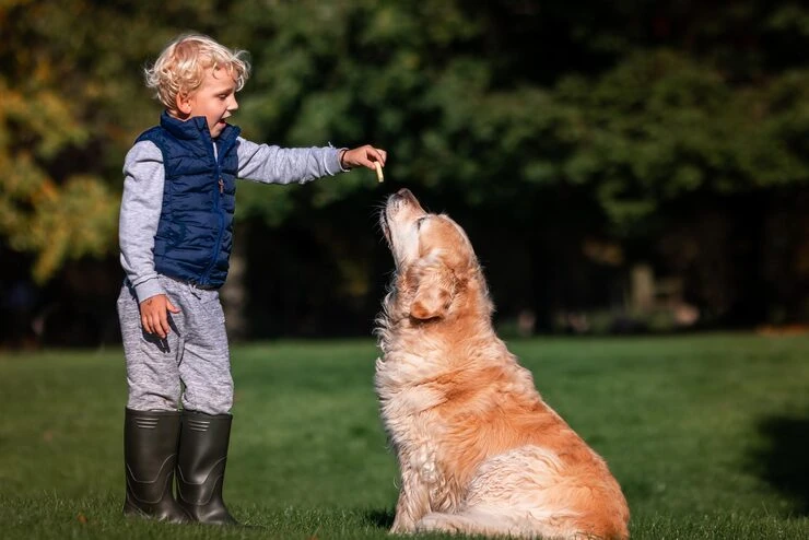 Veterinary Coordination and Scheduling