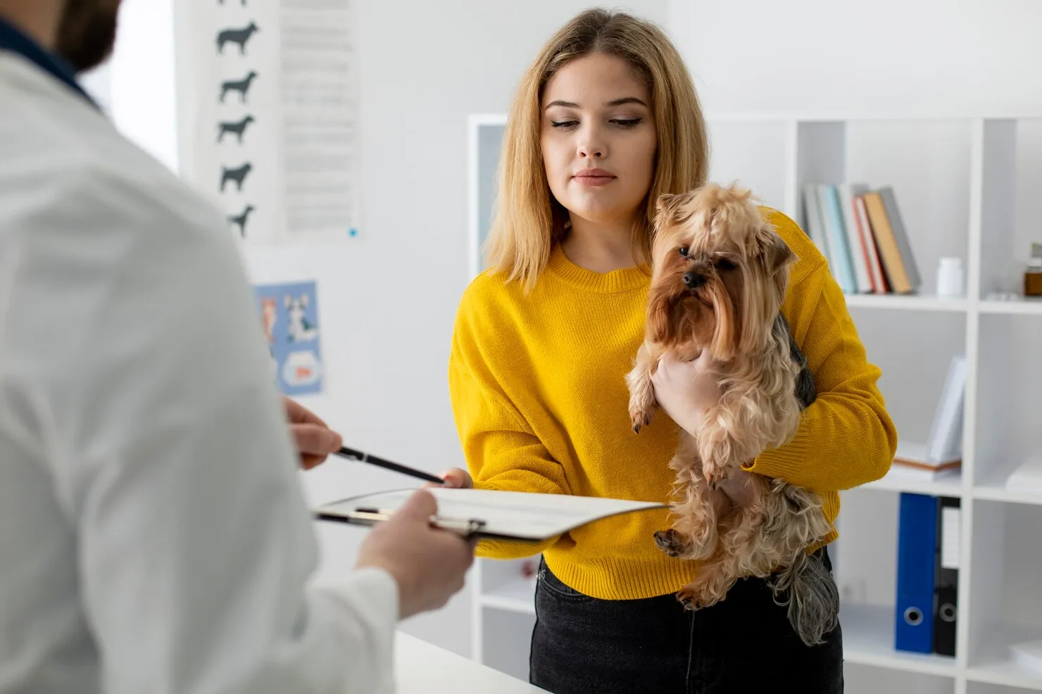 Veterinary Document Planning and Compliance