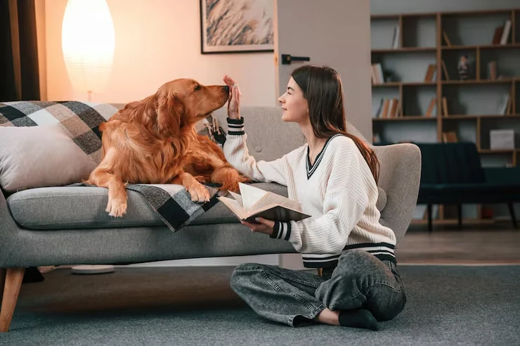 Veterinary Documentation and Health Certification