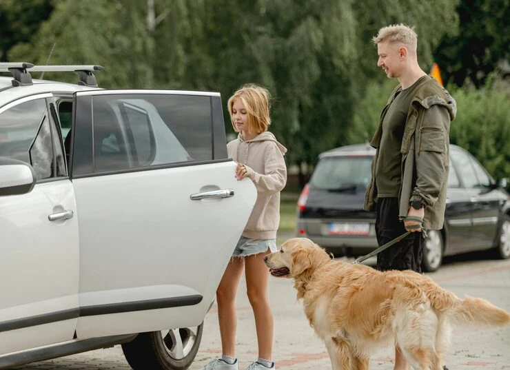 Veterinary Liaison and Health Documentation Control