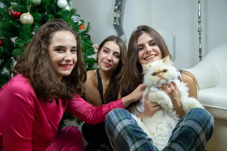 Veterinary-Supported Transport Planning