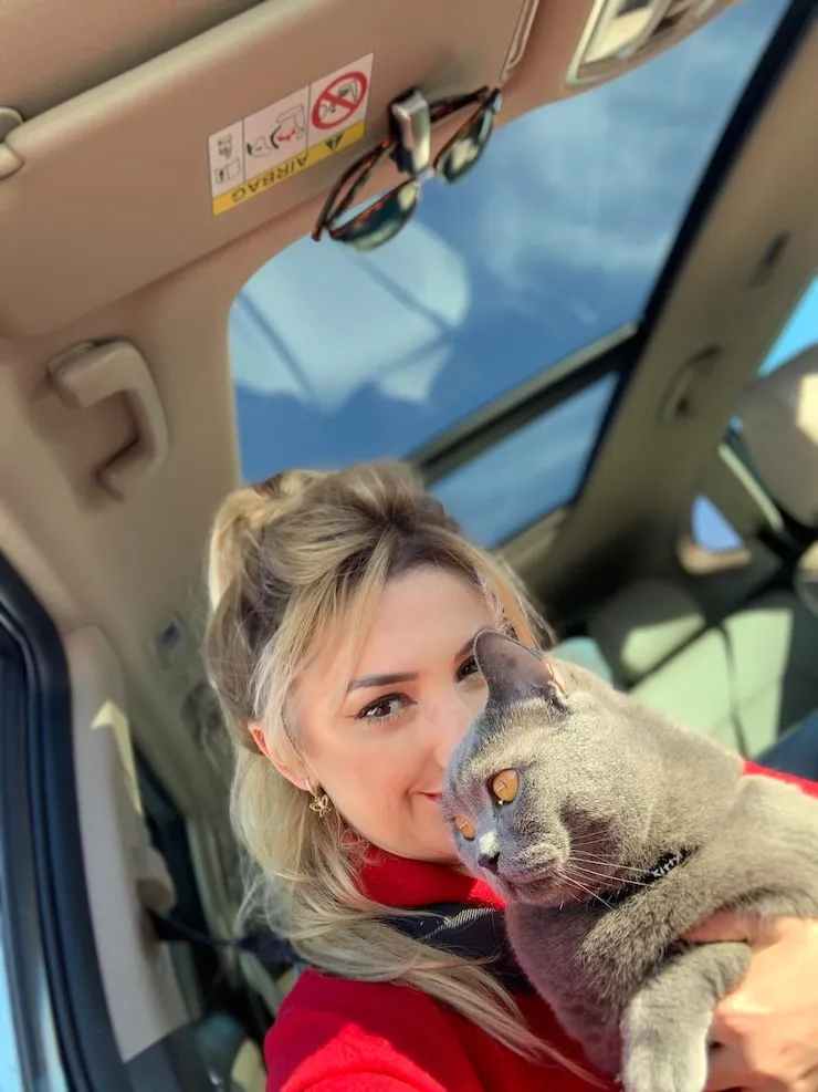 Welfare Supervised Travel for Senior Pets​