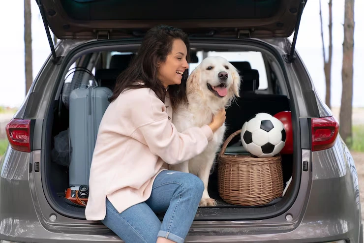 Why Many UK Owners Choose Pets Lets Travel