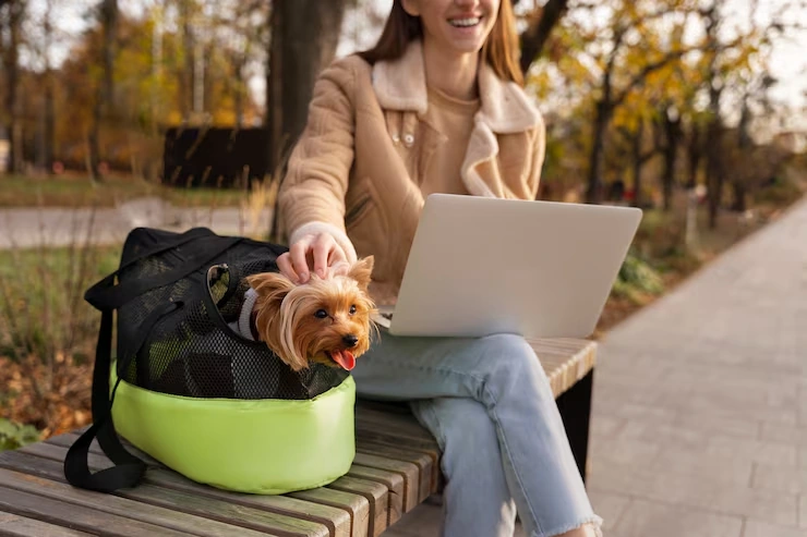 Why Owners Choose Pets Lets Travel
