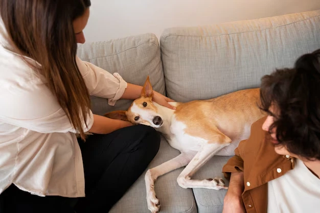 our most best services