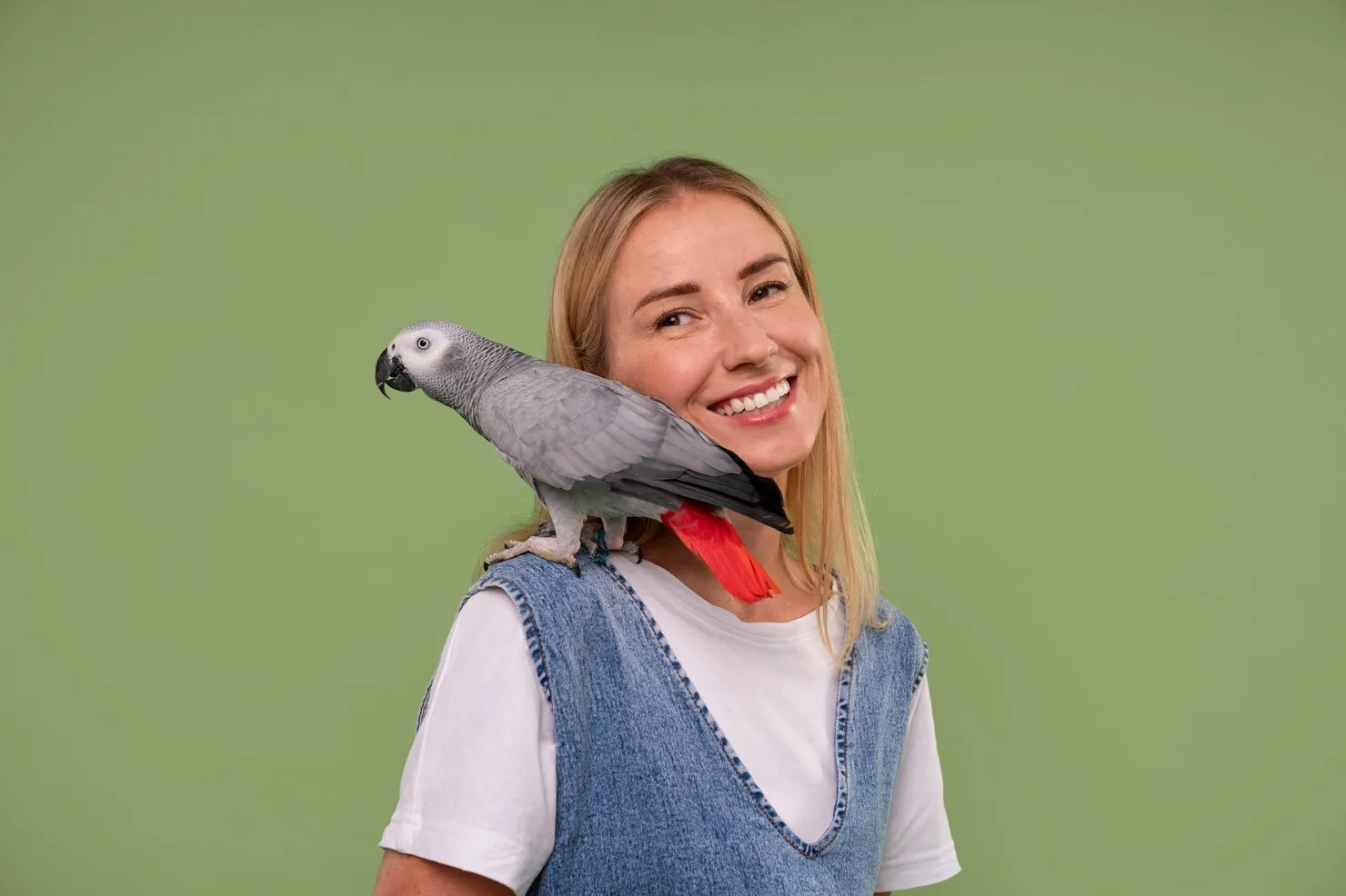our parrot services