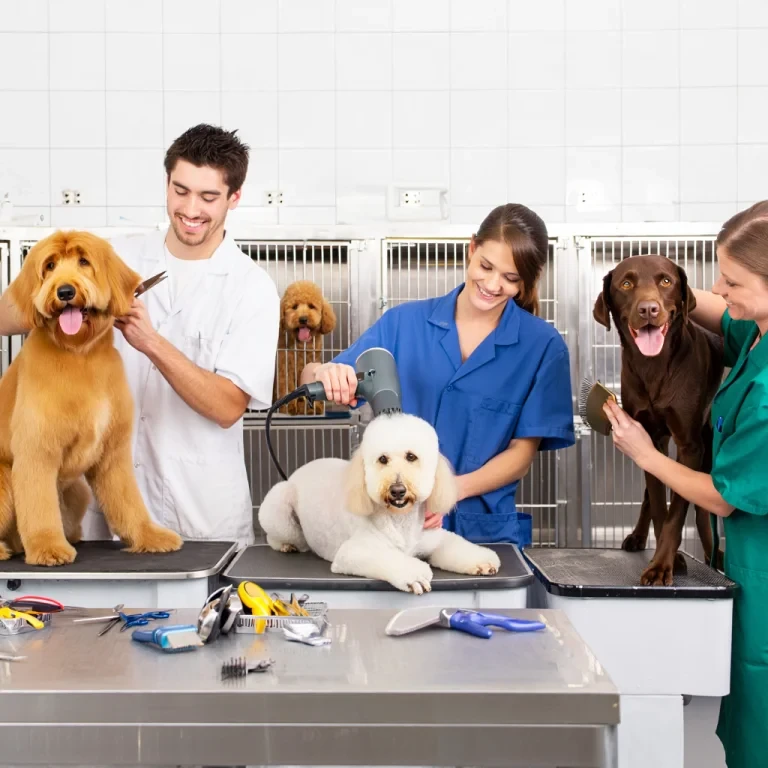 our services best for you