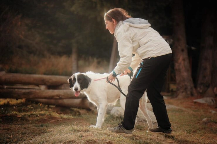 Airline Booking and Cargo Coordination​