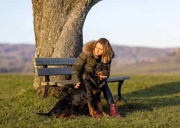 Airline Booking and Live Animal Cargo Management