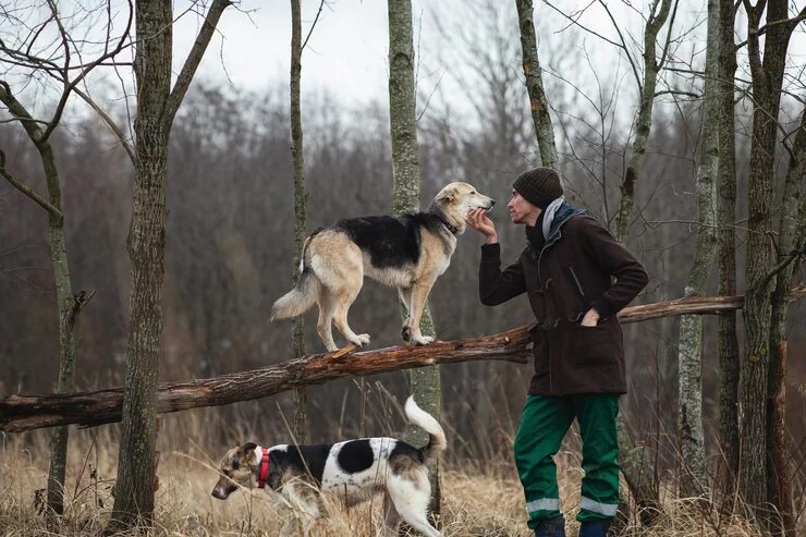 Airline Cargo Booking and Compliance Management​