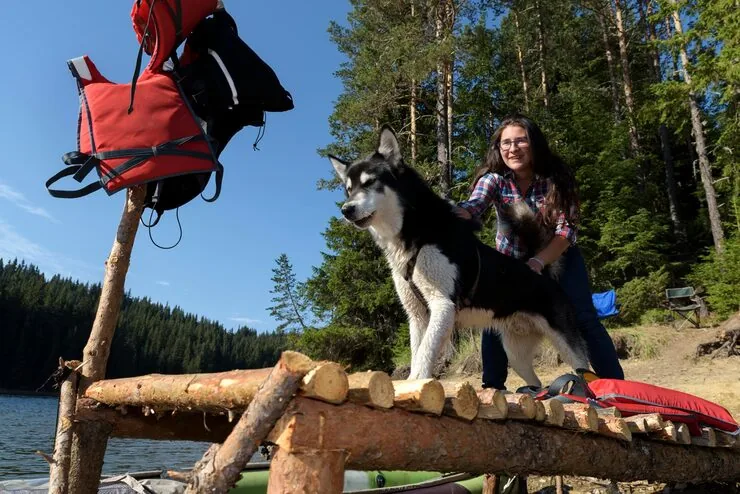 Airline Cargo Booking and Handling