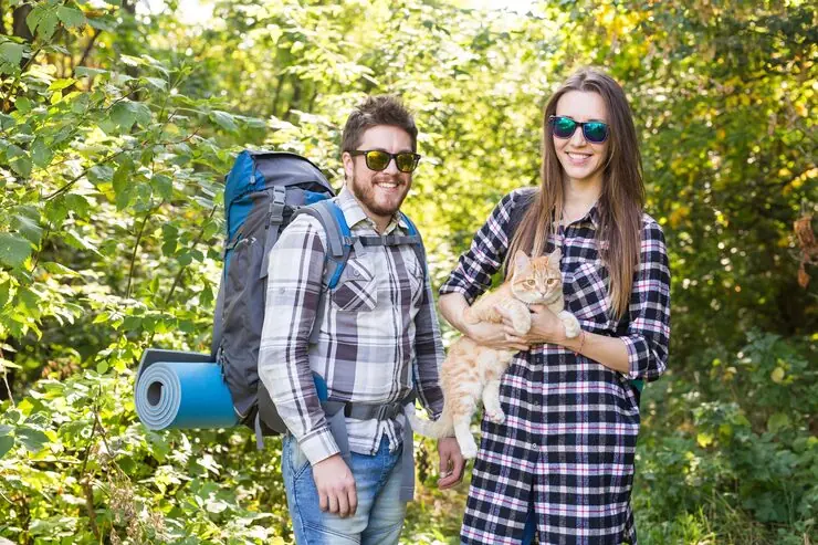 Airline Cargo Booking and Routing Control