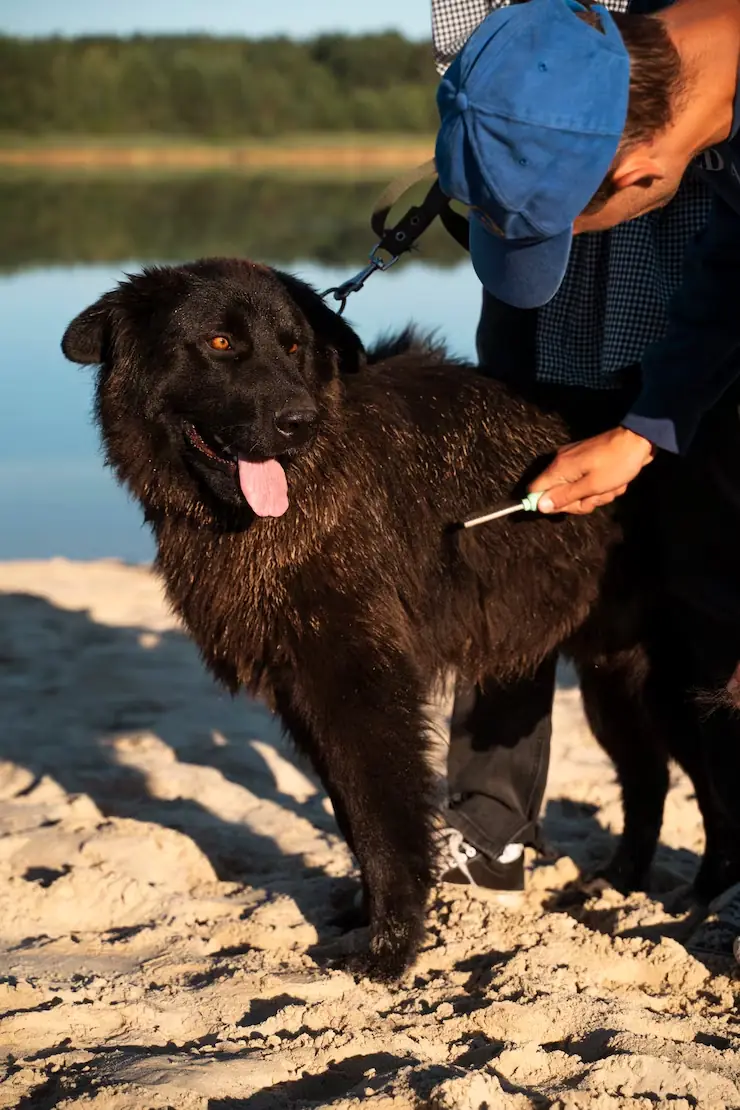 Airline Coordination and Flight Management