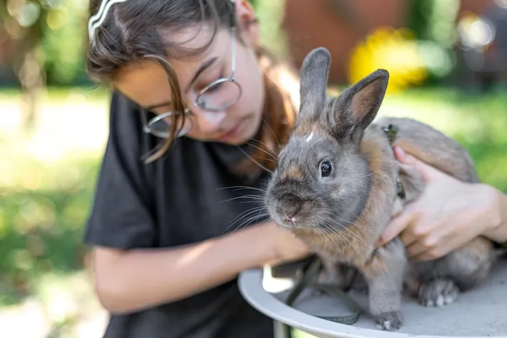 Airline Coordination for Rabbit Relocation