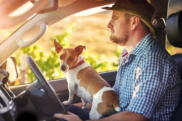 Airline Disruption Recovery