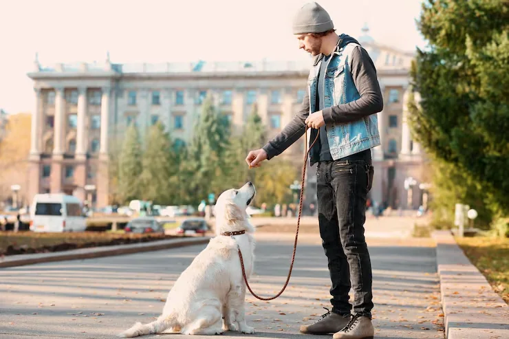 Airside Supervision and Loading Oversight