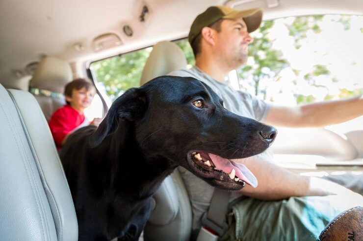 Arrival Coordination in Saudi Arabia