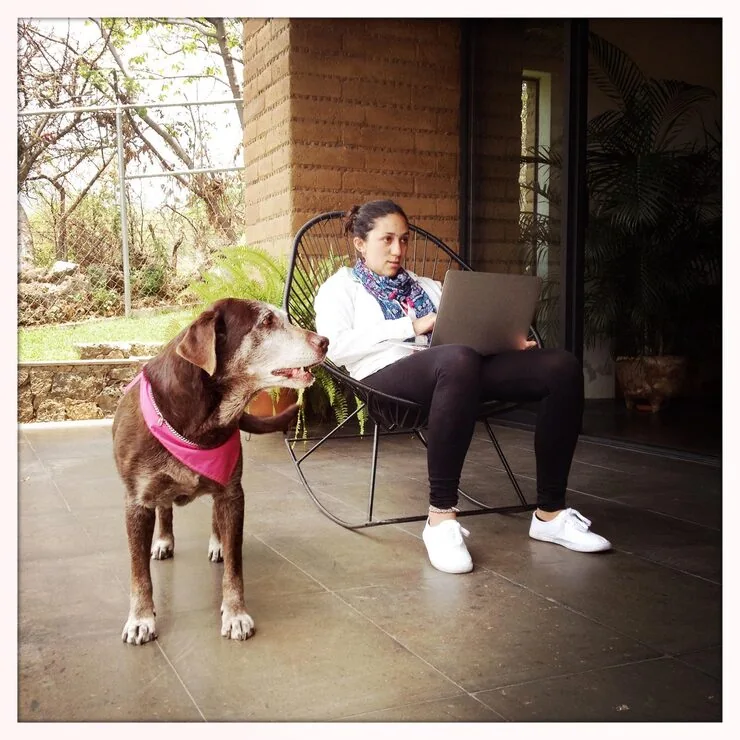 Australian Import Permit Preparation​