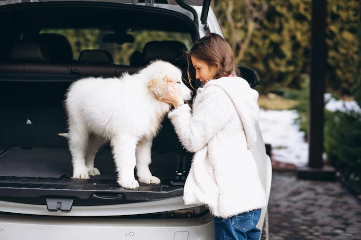 Australian Import Permits and Biosecurity Coordination​