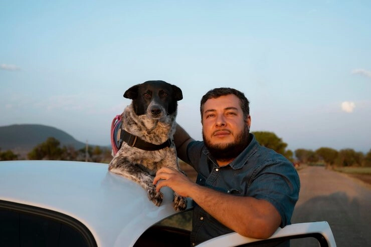 Customs Clearance and Arrival Support Overseas​