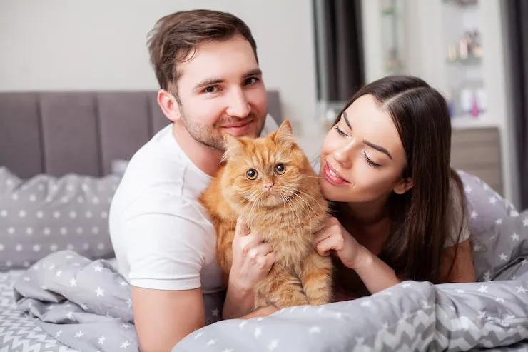 Customs Clearance for Pets