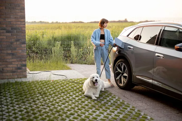 Customs and Border Entry Preparation​