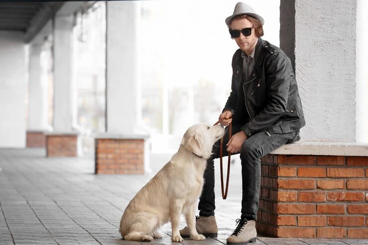 DEFRA Documentation and Port Health Handling