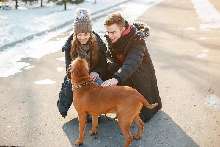 DEFRA and EU Entry Compliance Handling