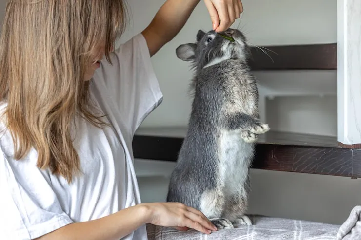 Documentation and Regulatory Preparation