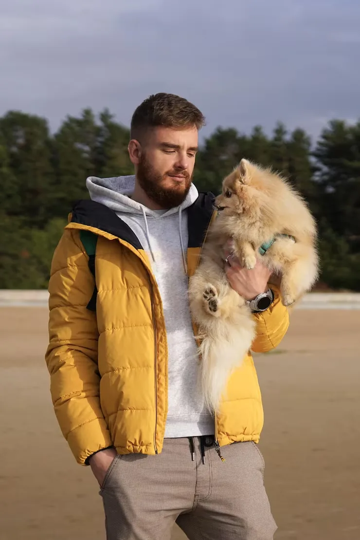 Dog Transport Services From the UK to the USA