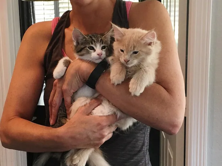 Door-to-Door Pet Relocation from the UK to Zurich