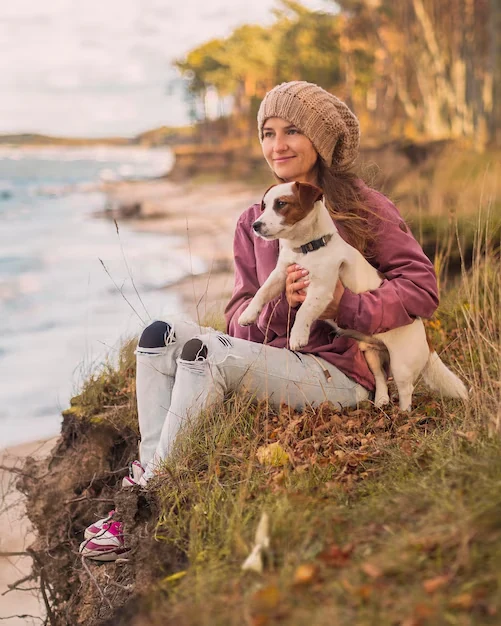 Door-to-Door Pet Transport UK to France