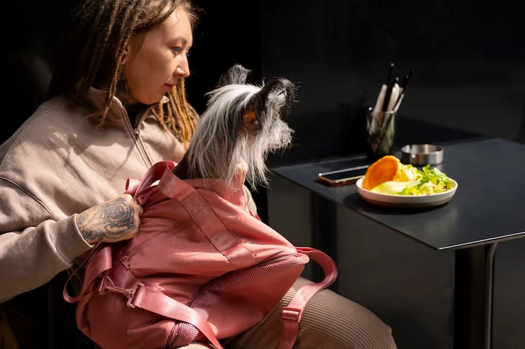 Dubai Arrival Clearance and Release Support