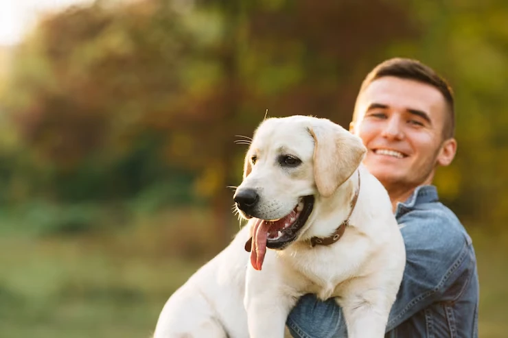 Emergency Route and Carrier Clearance