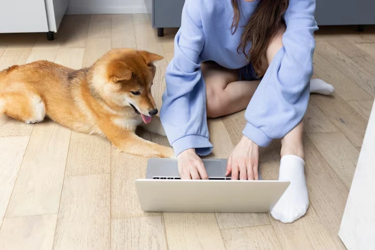 Expert Knowledge of Portugal's Pet Import Regulations