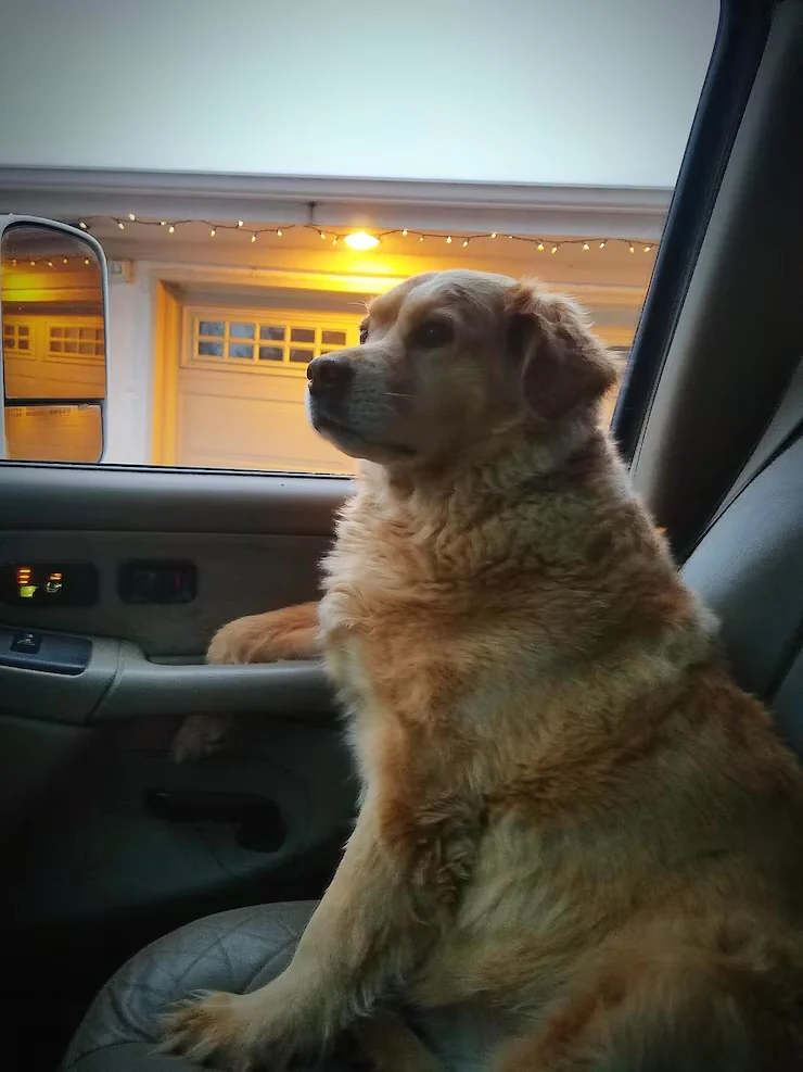 Export Documentation and Compliance Management