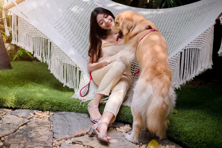 France Import Compliance Handling