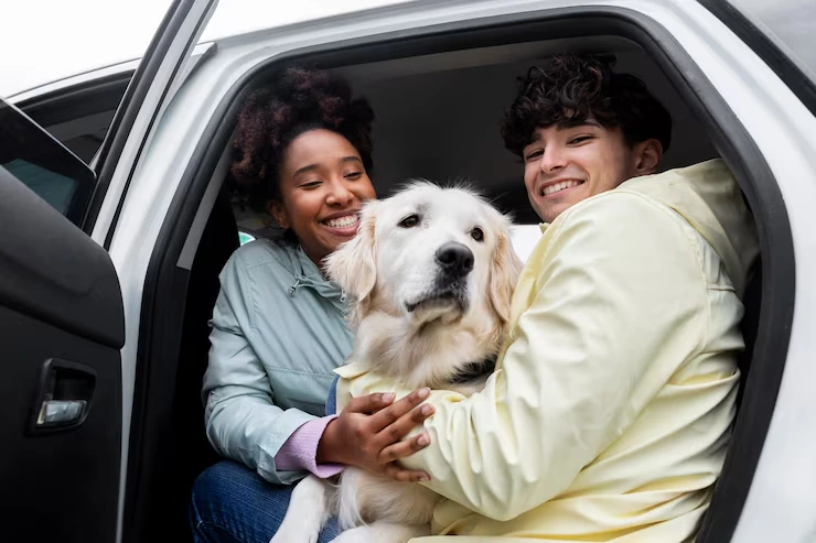 Pet Courier Services From Australia to the UK