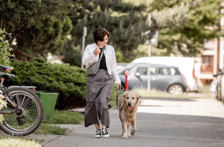 IATA-Compliant Travel Crate Preparation