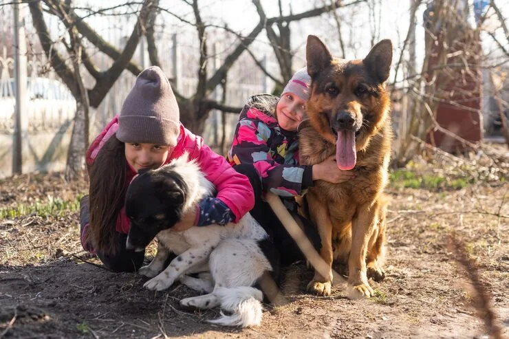 IATA-Compliant Travel Crate Preparation