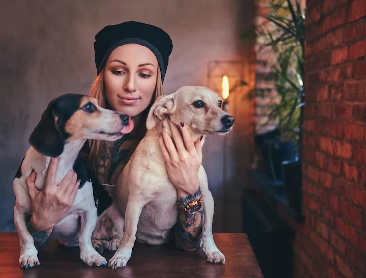 IATA-Compliant Travel Crate Provisions